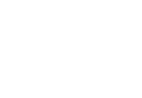 GAA Automotive Clients